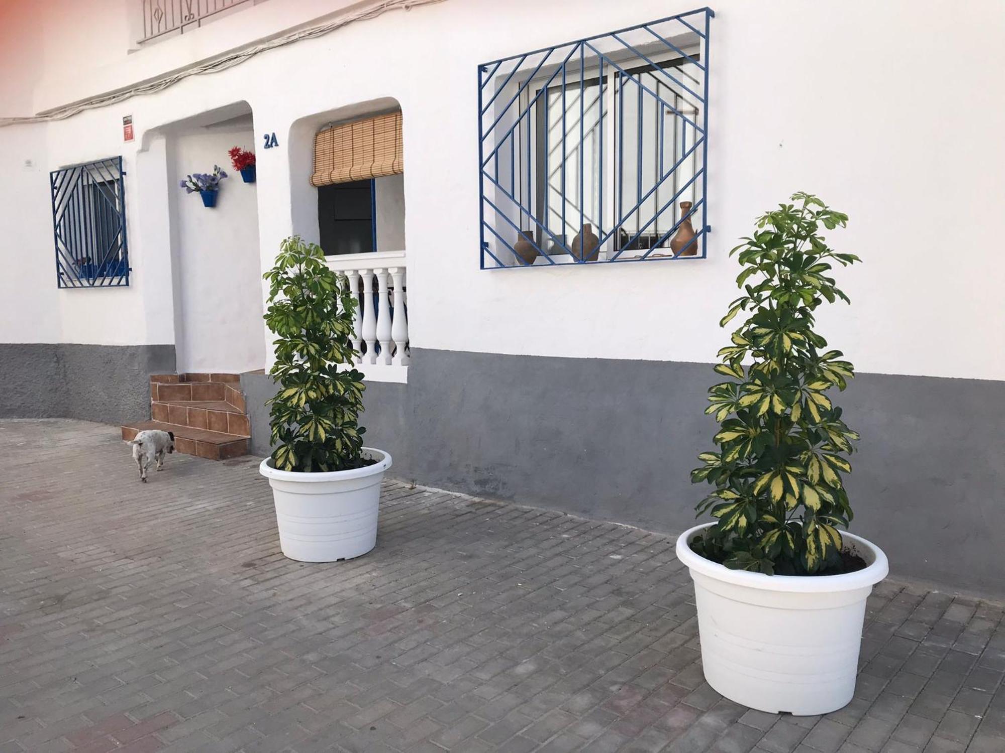 Apartamentos Lolitalola Holidays Salobreña Kültér fotó
